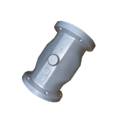 258520 NW65 Запчасти для шприцовых клапанов для насосов PT6