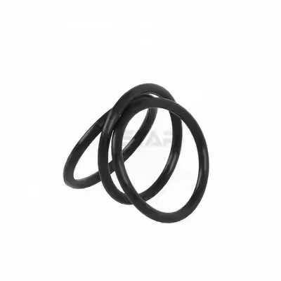 1095885 Полированный Tribo Encore Gen II Порошкообразный насос O Rings