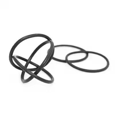 1095885 Полированные уплотнительные кольца для порошкового насоса Tribo Gen II, изготовленные на заказ, поддержка OEM